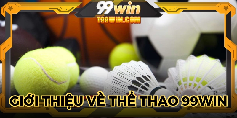 Thể thao 99WIN được đánh giá dịch vụ cao